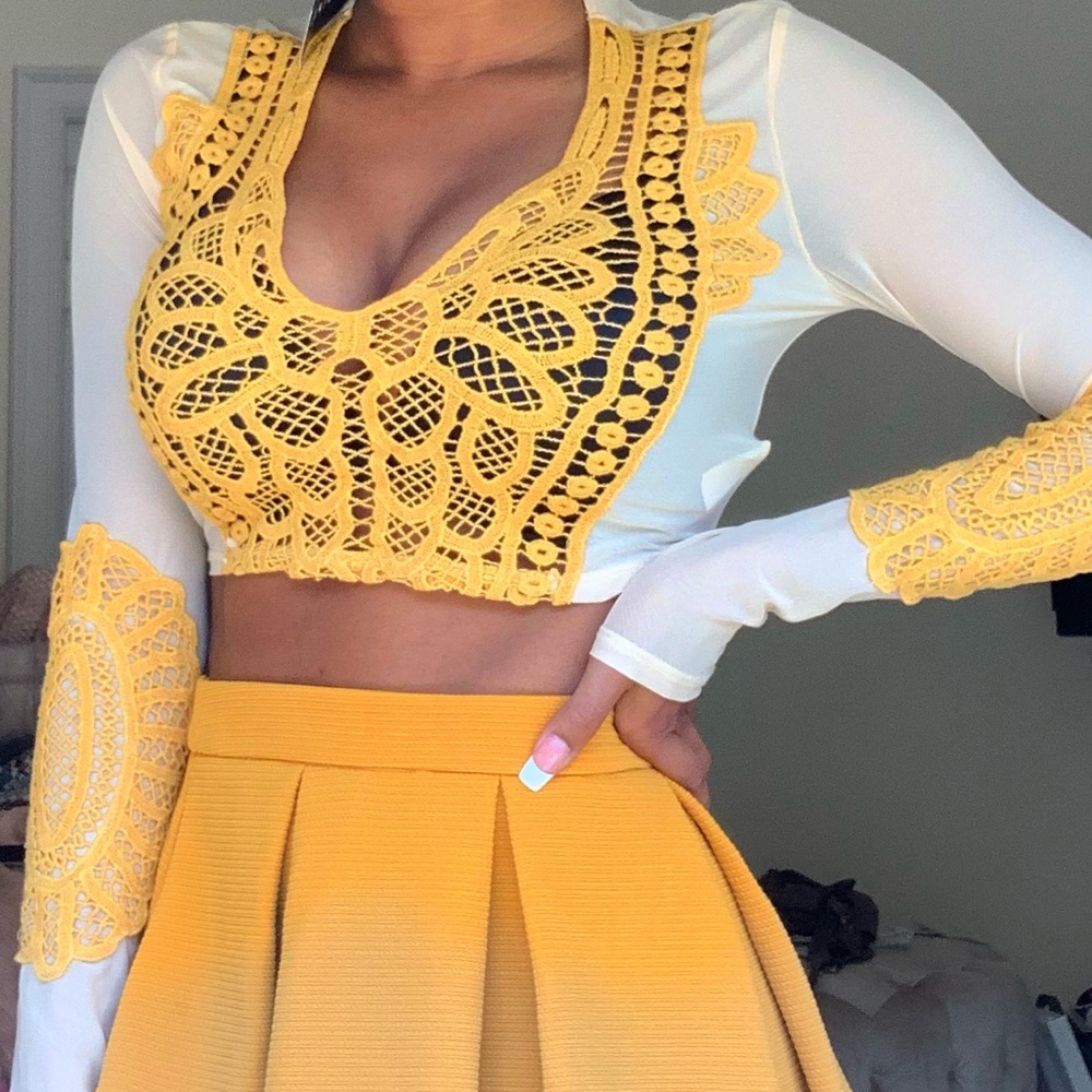 Embroidered Mesh Sheer Long Sleeve Crop Top